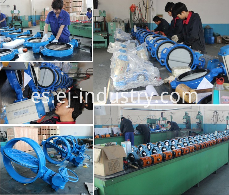 válvula de mariposa butterfly valve
